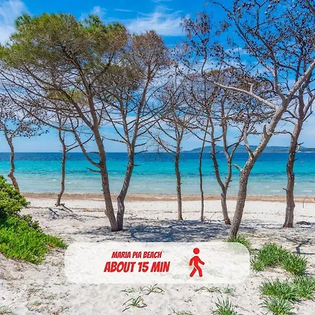 Apartment Parcheggio Privato - Fronte Mare - Casa Carina Alghero